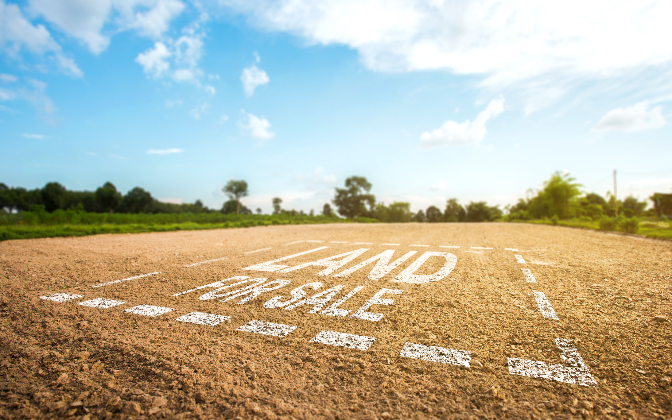 Turn Land into Rentals with Park Model Homes