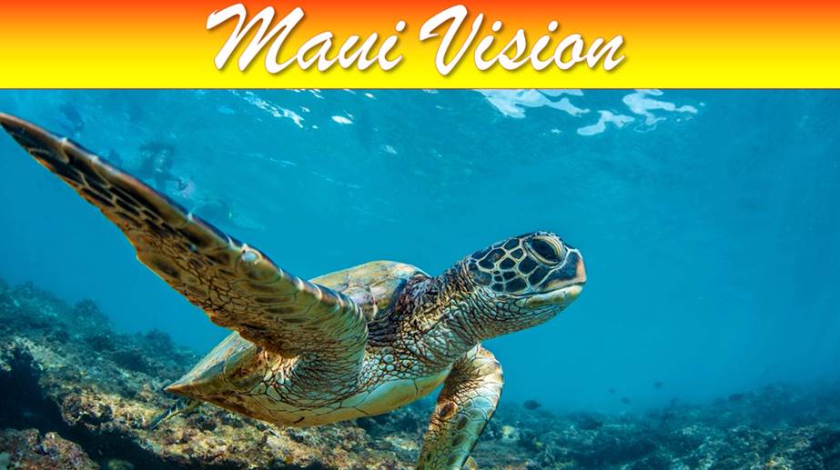 maui-vision-rentals-kihei