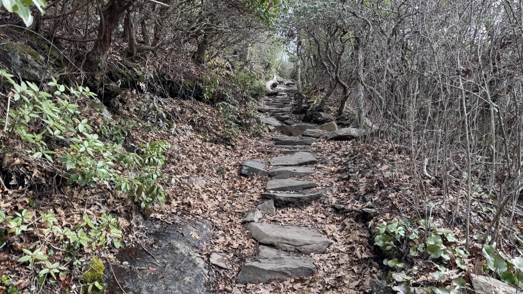 Pisgah Hiking Trails