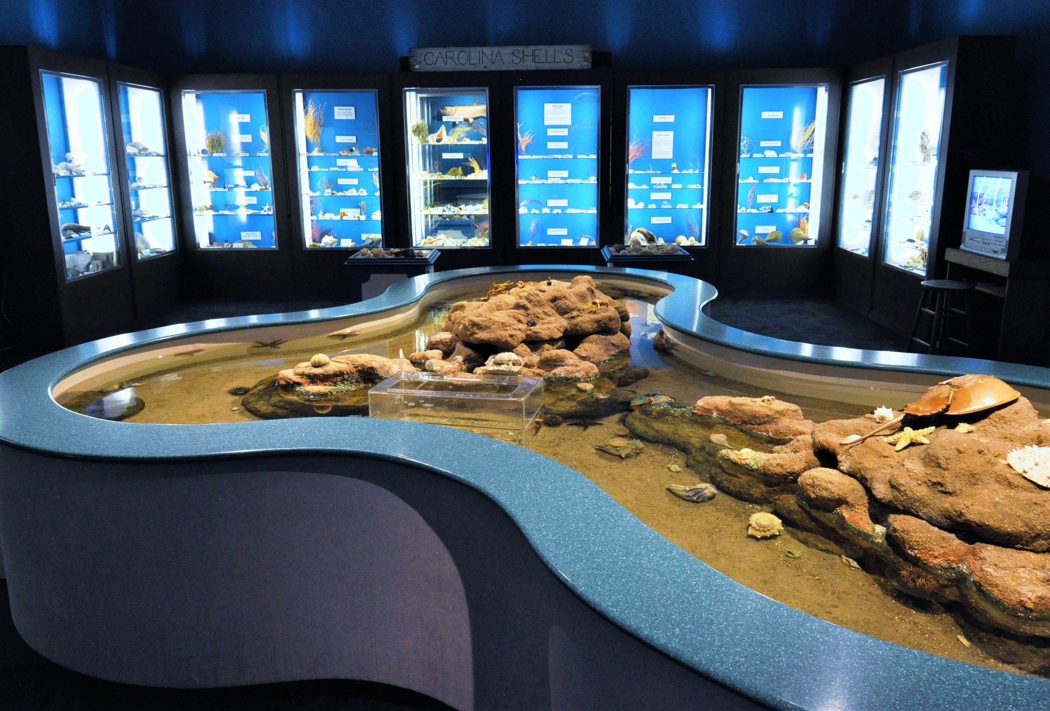 Museum Coastal Carolina Exhibit