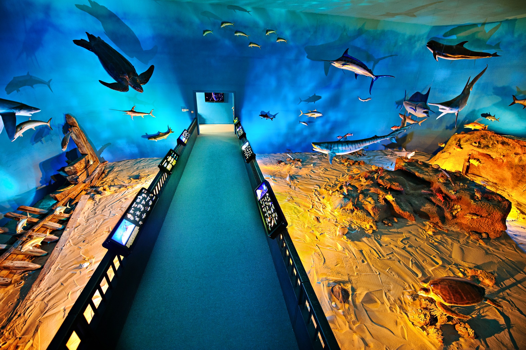 Exhibit at the Museum Coastal Carolina Ocean Isle Beach