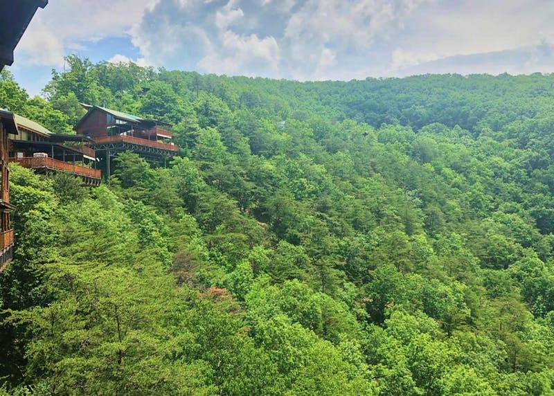 natural retreats great smoky mountains wears valley brothers cove community