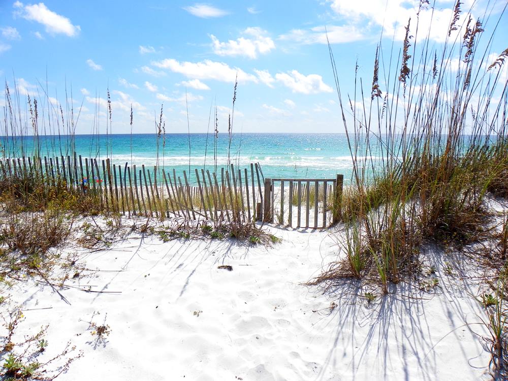 Navarre Beach and Pensacola Beach Florida Professionally Managed Vacation Rentals