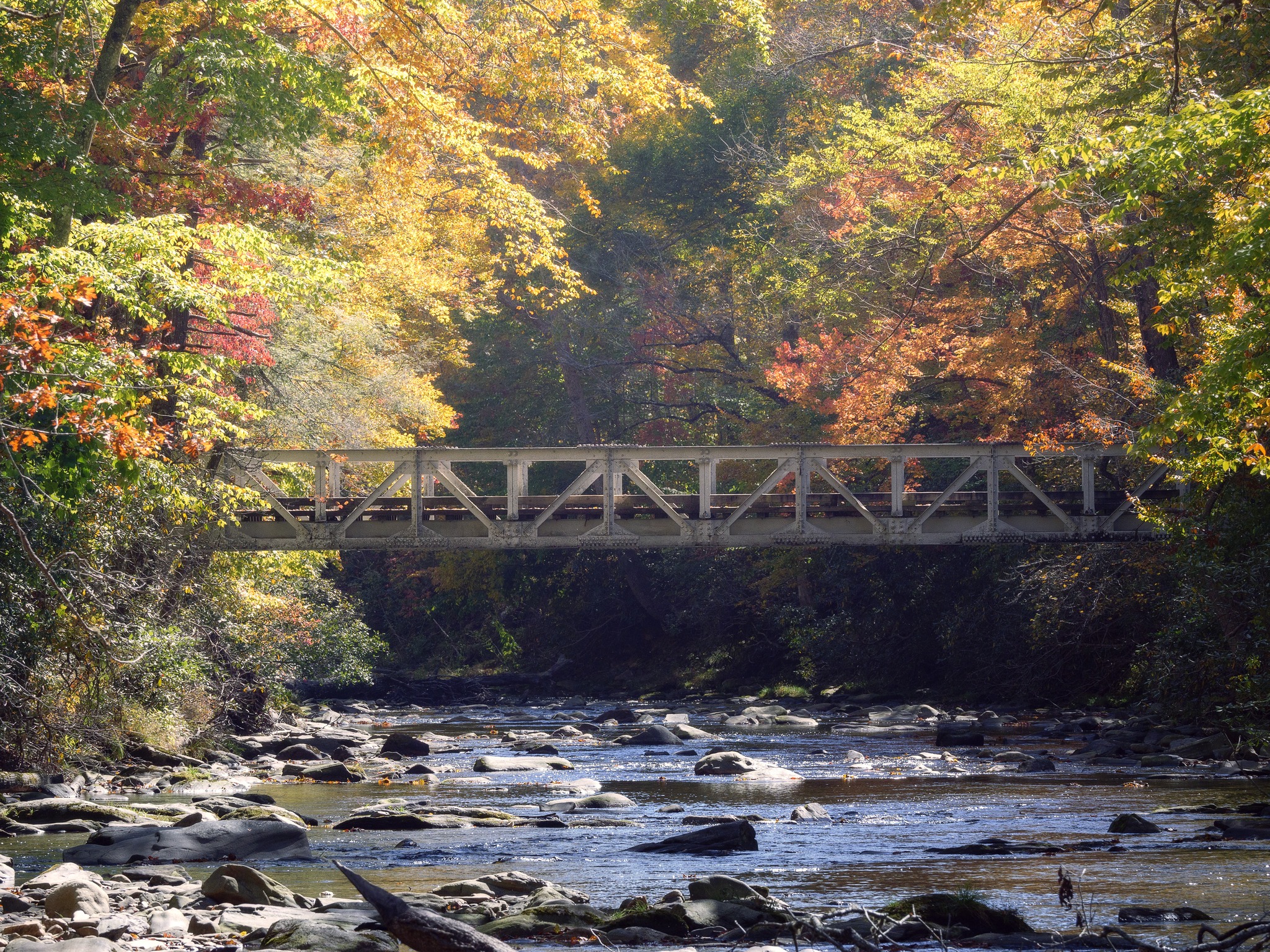 Foot Bridge in Pisgah National Forest
