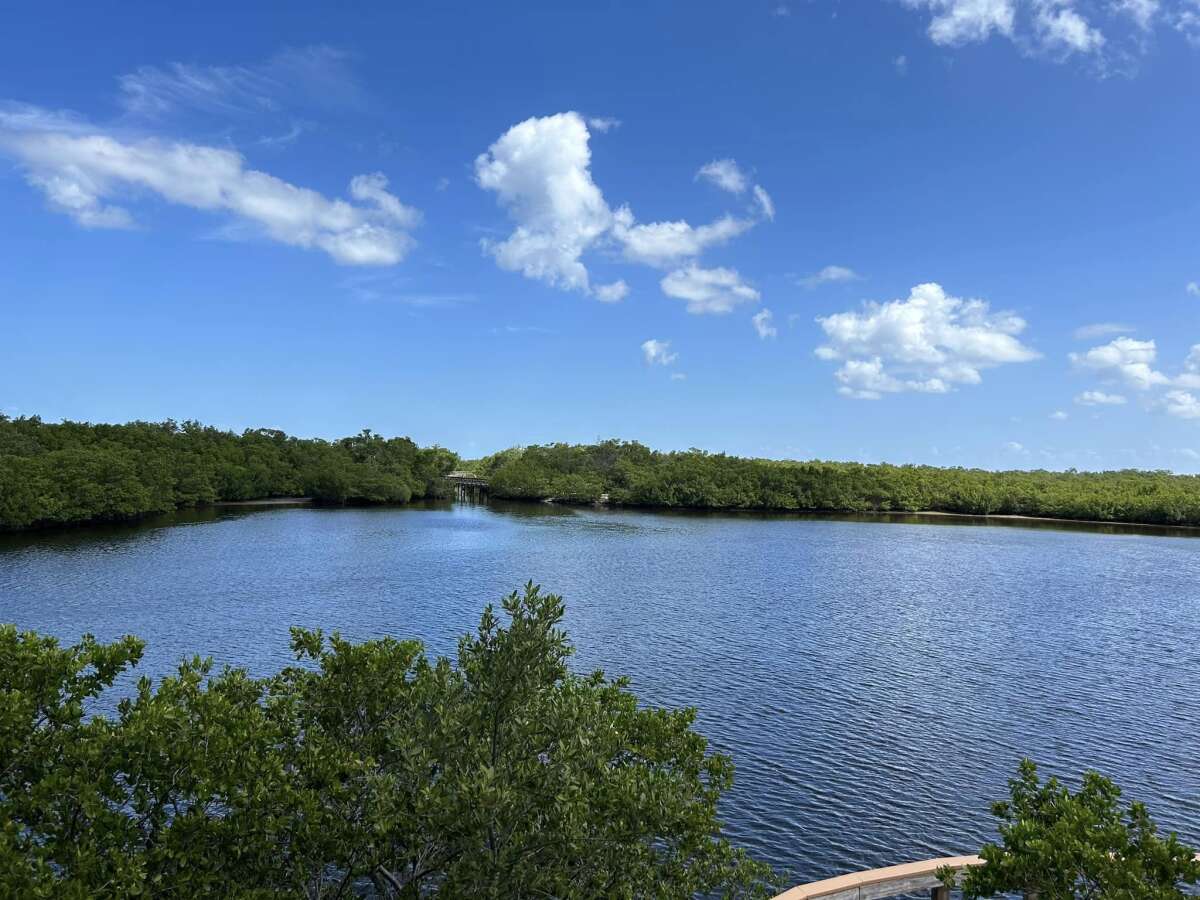 Robinson Preserve in Bradenton, FL | Boardwalk and Birdwatching
