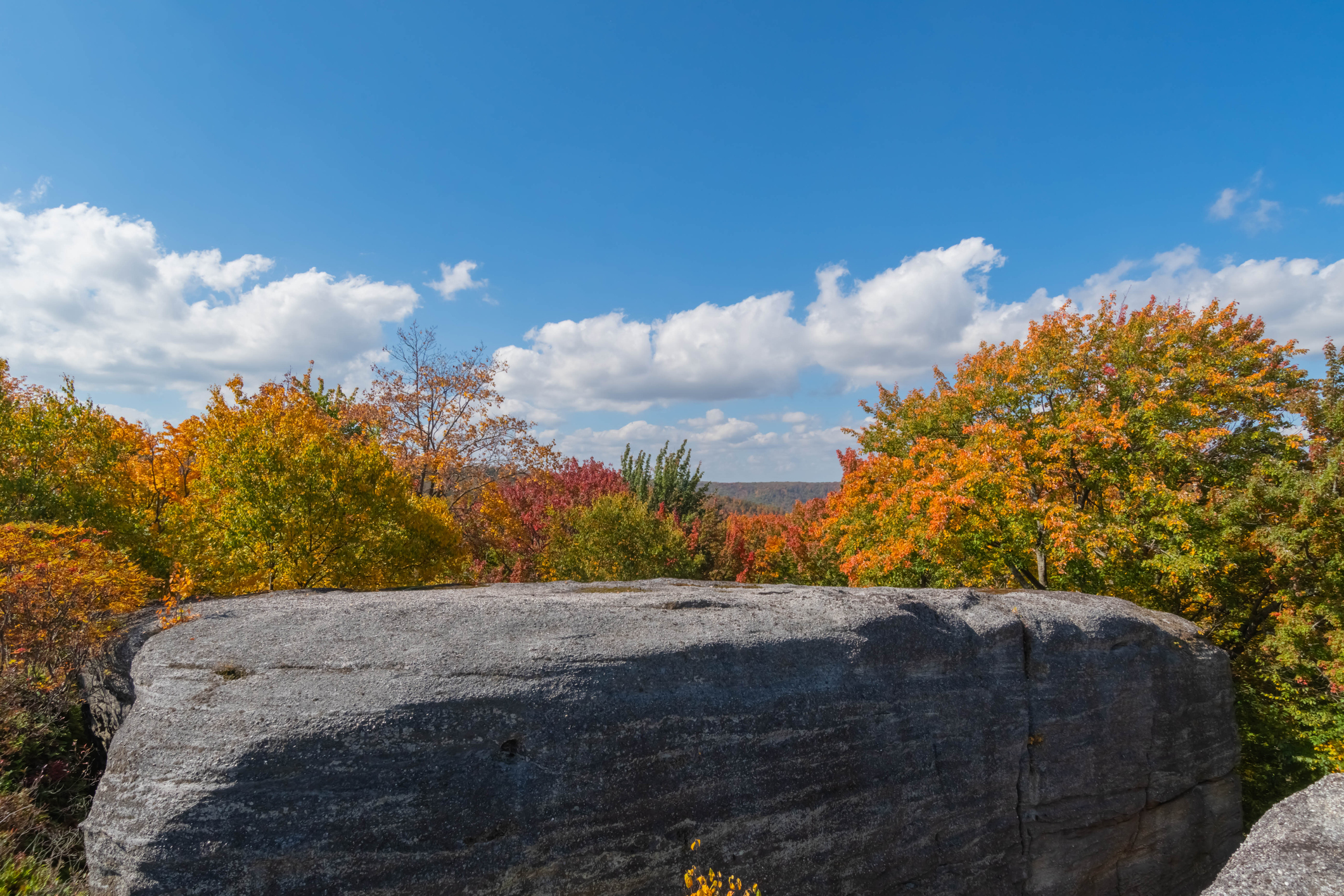 Rock City Park in Olean New York