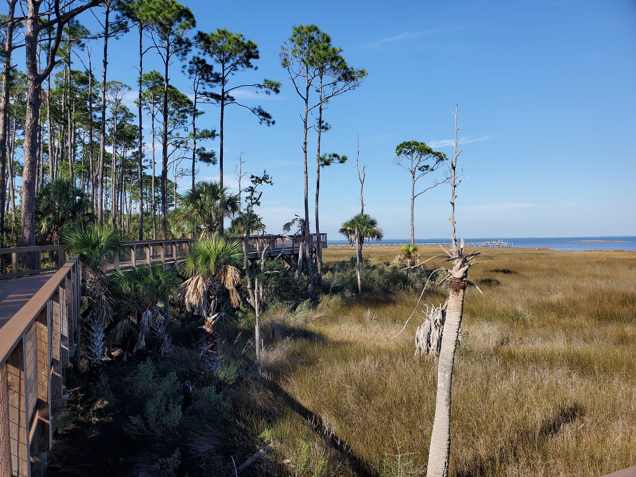 Salinas Park Serenity Trail Boardwalk Port St. Joe Florida
