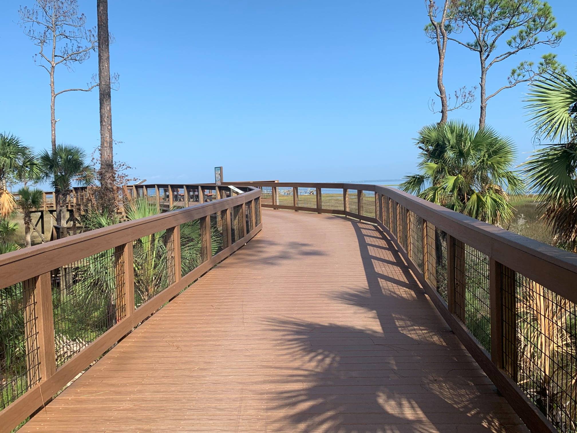 Serenity Trail Boardwalk St. Joseph Bay Views