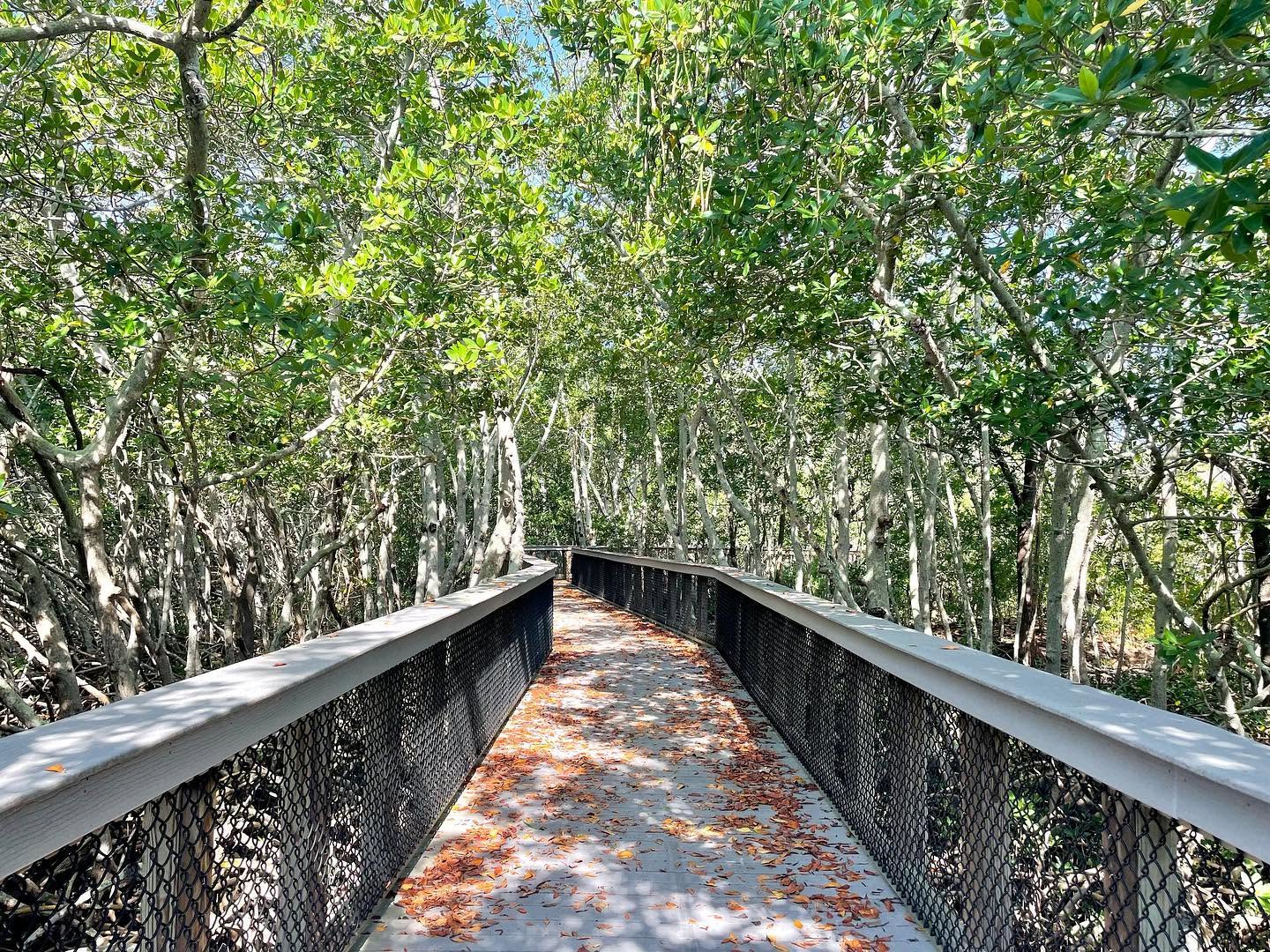 Ted Sperling Nature Park