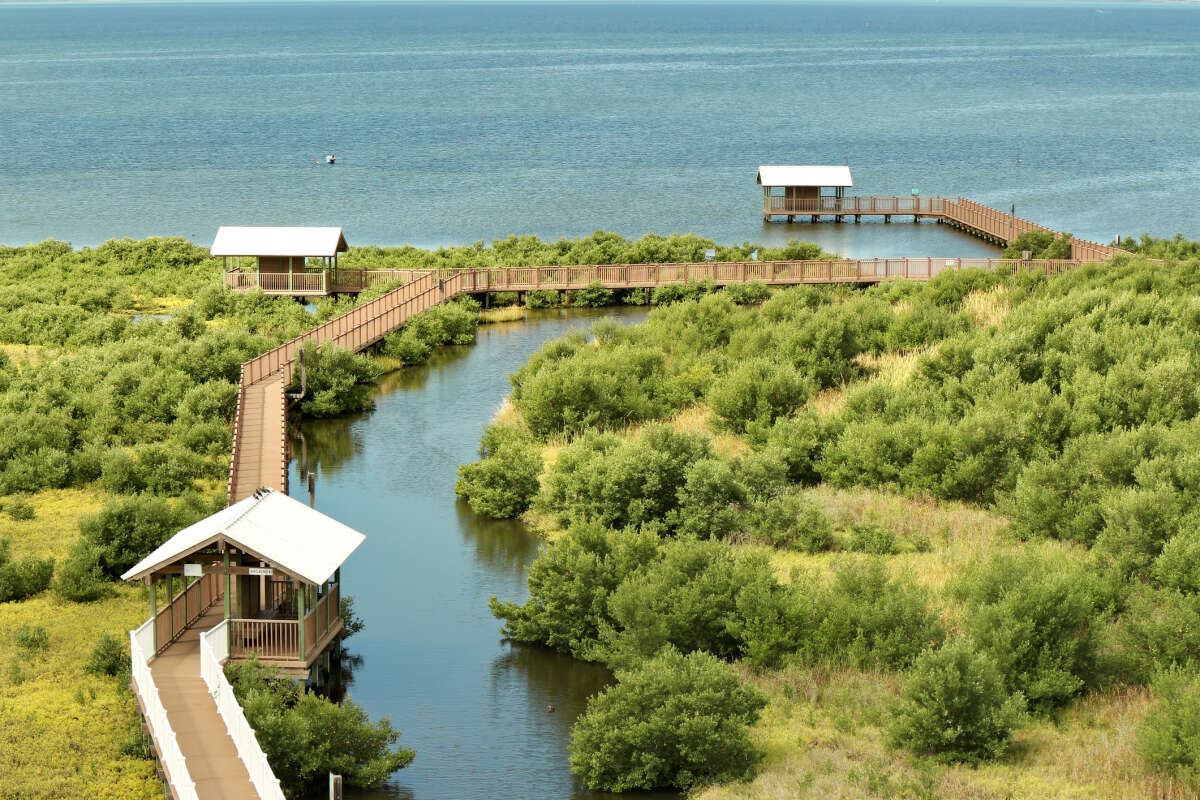 South Padre Island Birding, Nature Center & Alligator Sanctuary