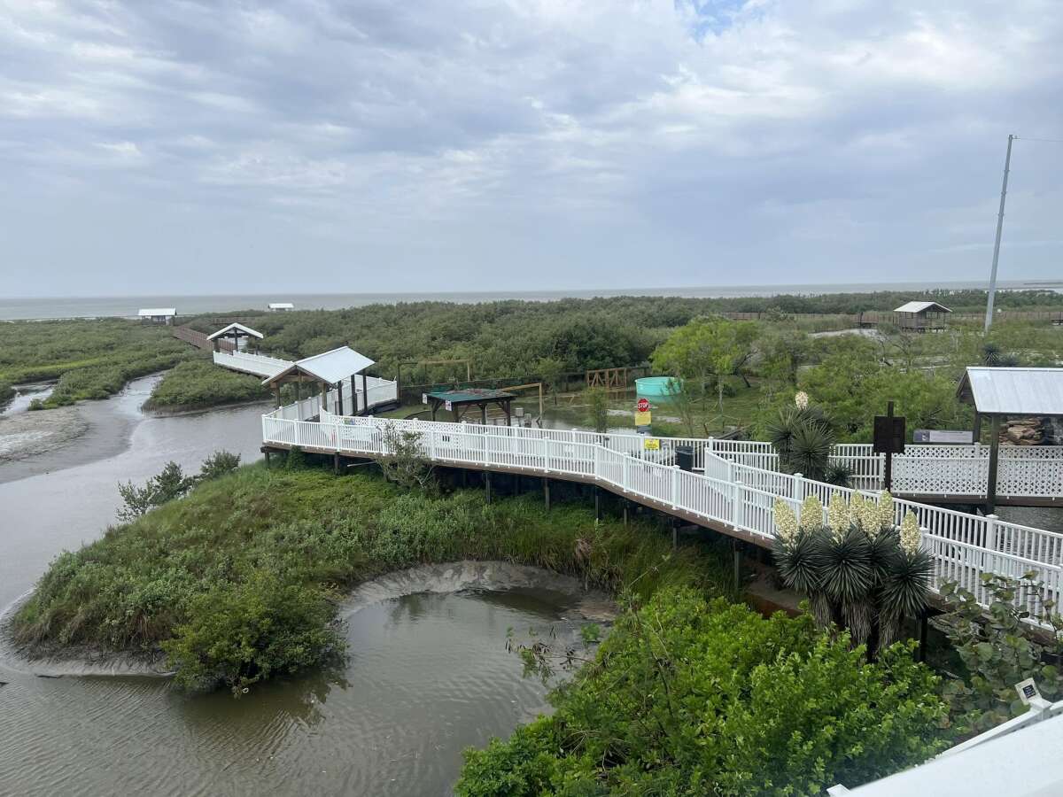 Birding, Nature Center and Alligator Sanctuary