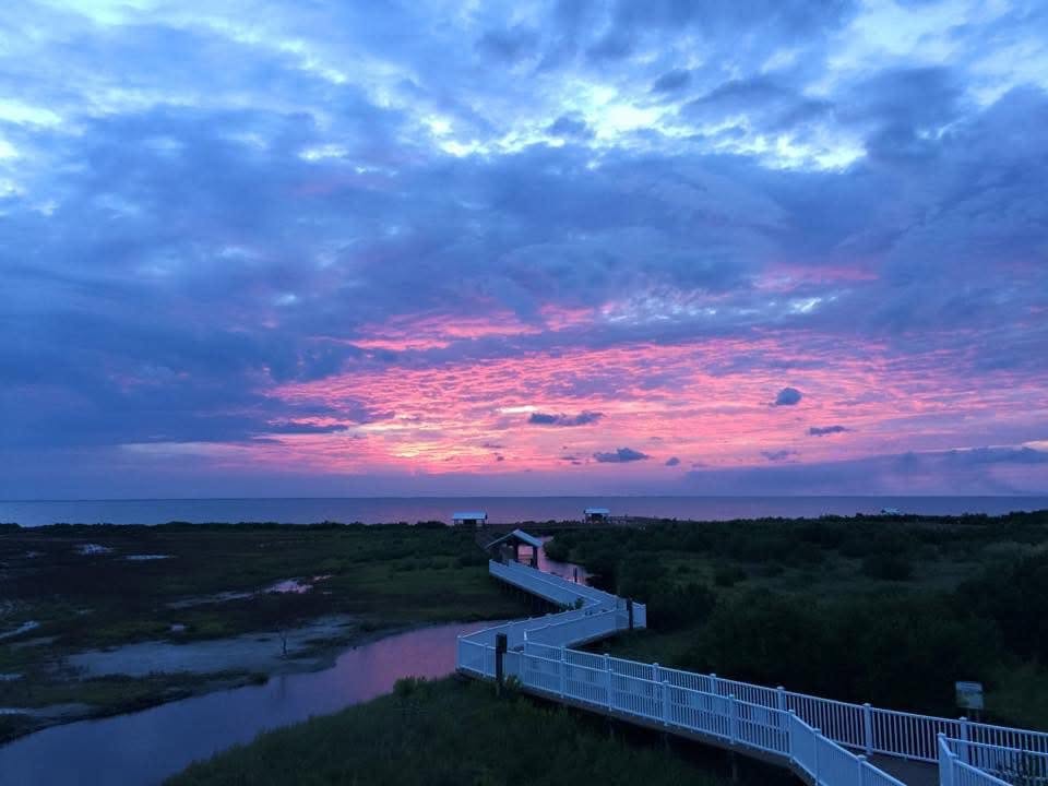 South Padre Island Birding, Nature Center & Alligator Sanctuary