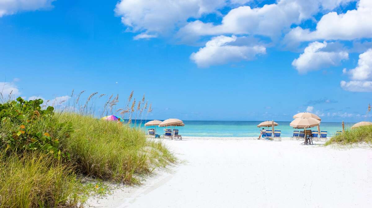 Things To Do Siesta Key Beach Sarasota Area Florida