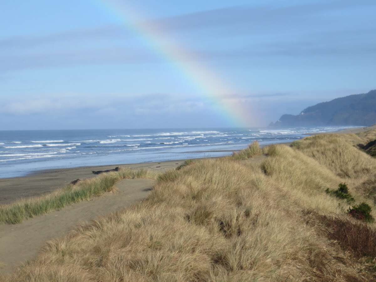 Whales Watch Vacation Rentals Oregon Dunes Heceta Beach Florence Oregon