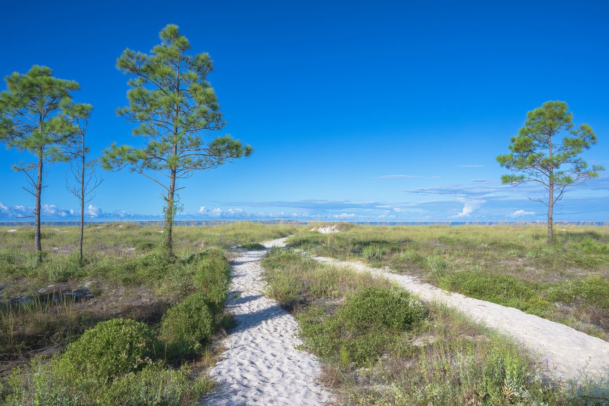White Sand Pathway to Windmark Beach Port St Joe Florida