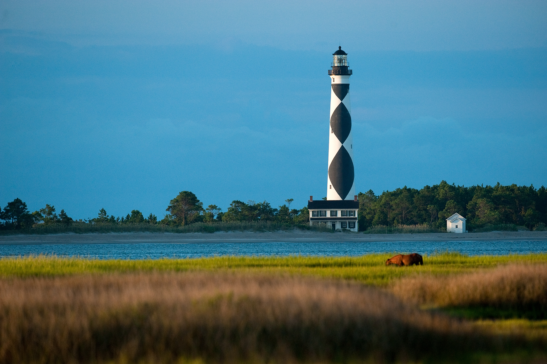 Wild Horses Diamond Lady Lighthouse along Shackleford Banks Crystal Coast North Carolina