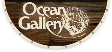The Ocean Gallery Properties - Discover the Best Condominium Resort Address on St. Augustine Beach Florida!