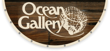 The Ocean Gallery