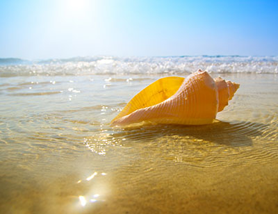 Sunny Beach Vacation Rentals & Sales