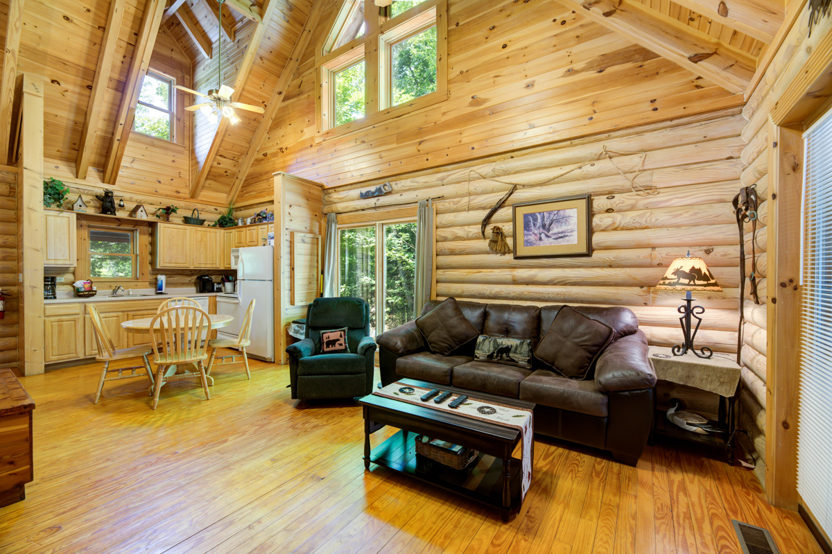 Bear Naked: 1 Bedroom Vacation Cabin Rental Pigeon Forge 