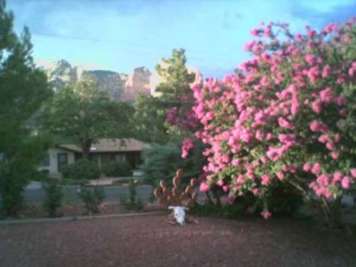 Red Rock Escape 3 Bedroom Vacation Home in  Uptown Sedona
