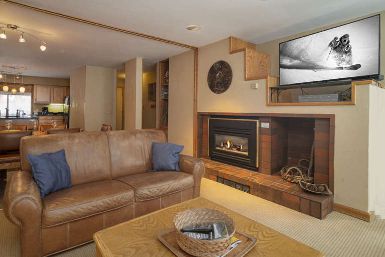 SWP Iron Horse J1309 fireplace and TV