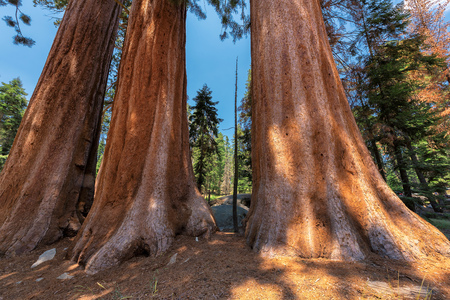National Park vs. State Park Vacations