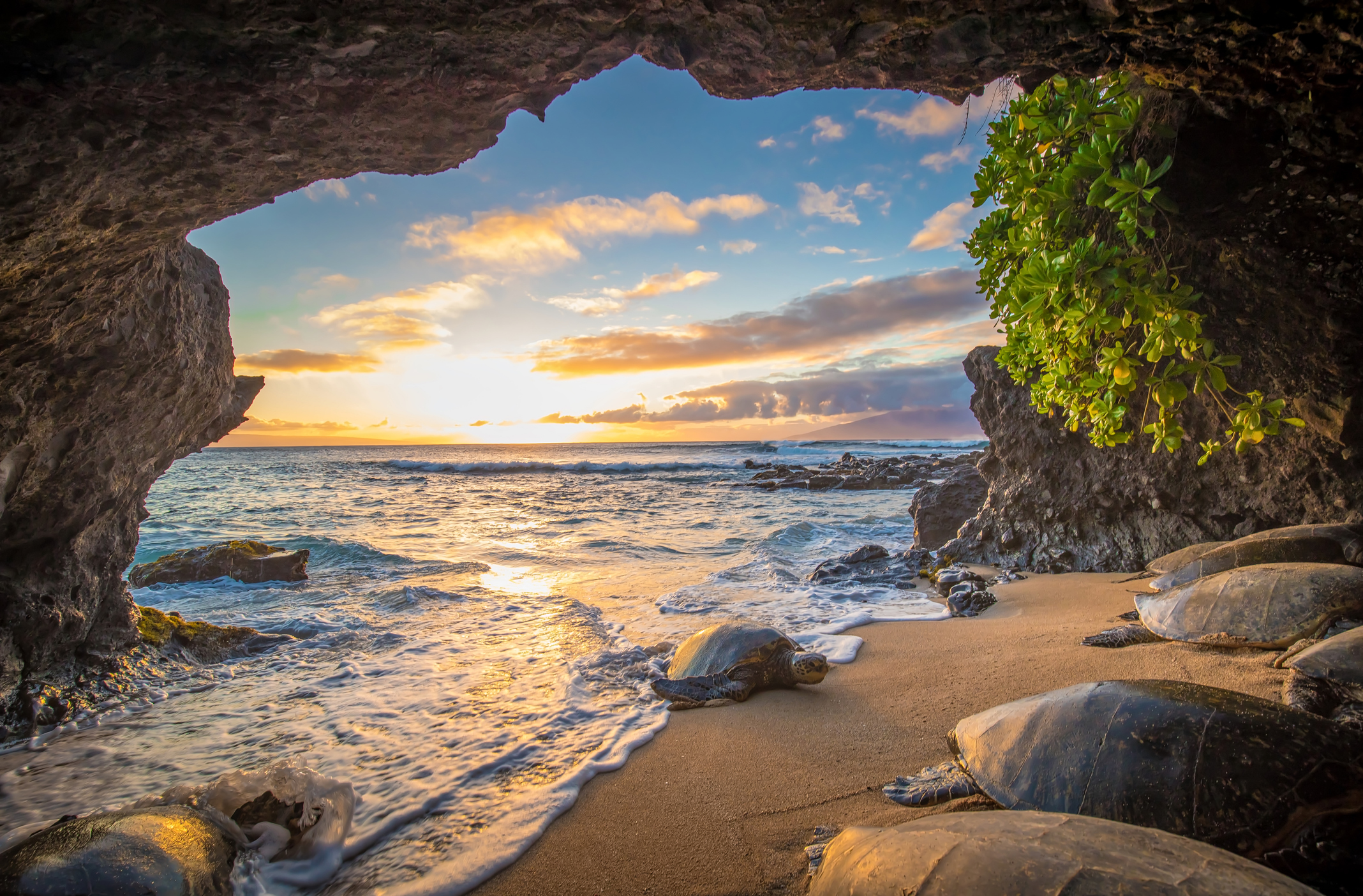 Things to do in Maui Hawaii