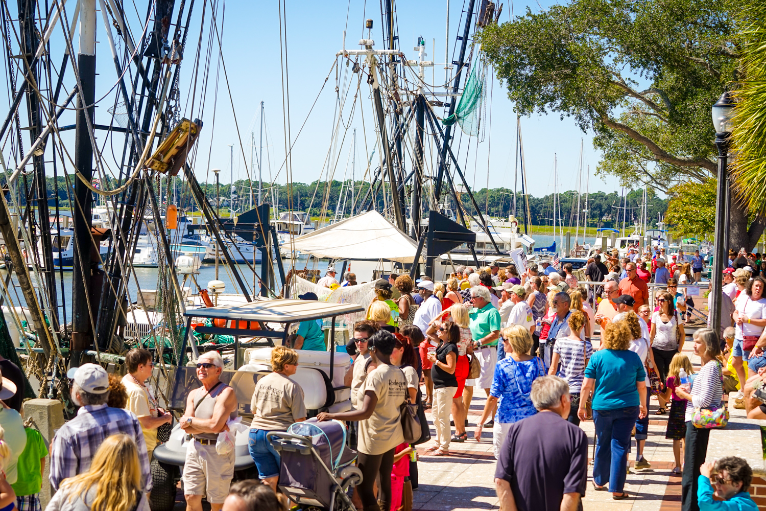 The Beaufort Shrimp Festival and 5k Race