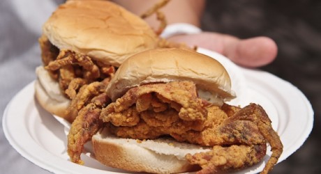 Soft Shell Crab Festival in Port Royal, Beaufort Area of South Carolina!