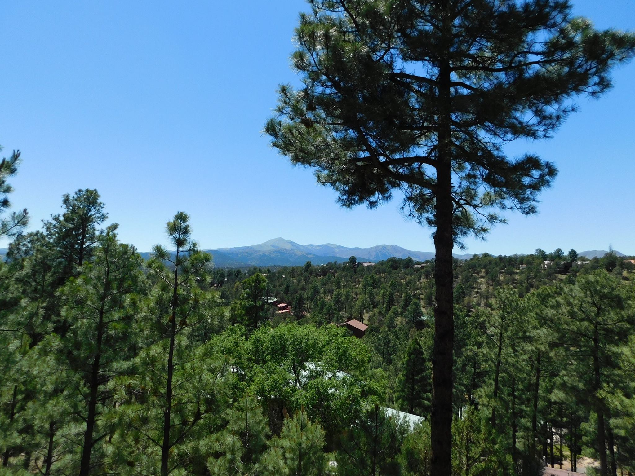 Ruidoso: #6 Top Family Travel Destination