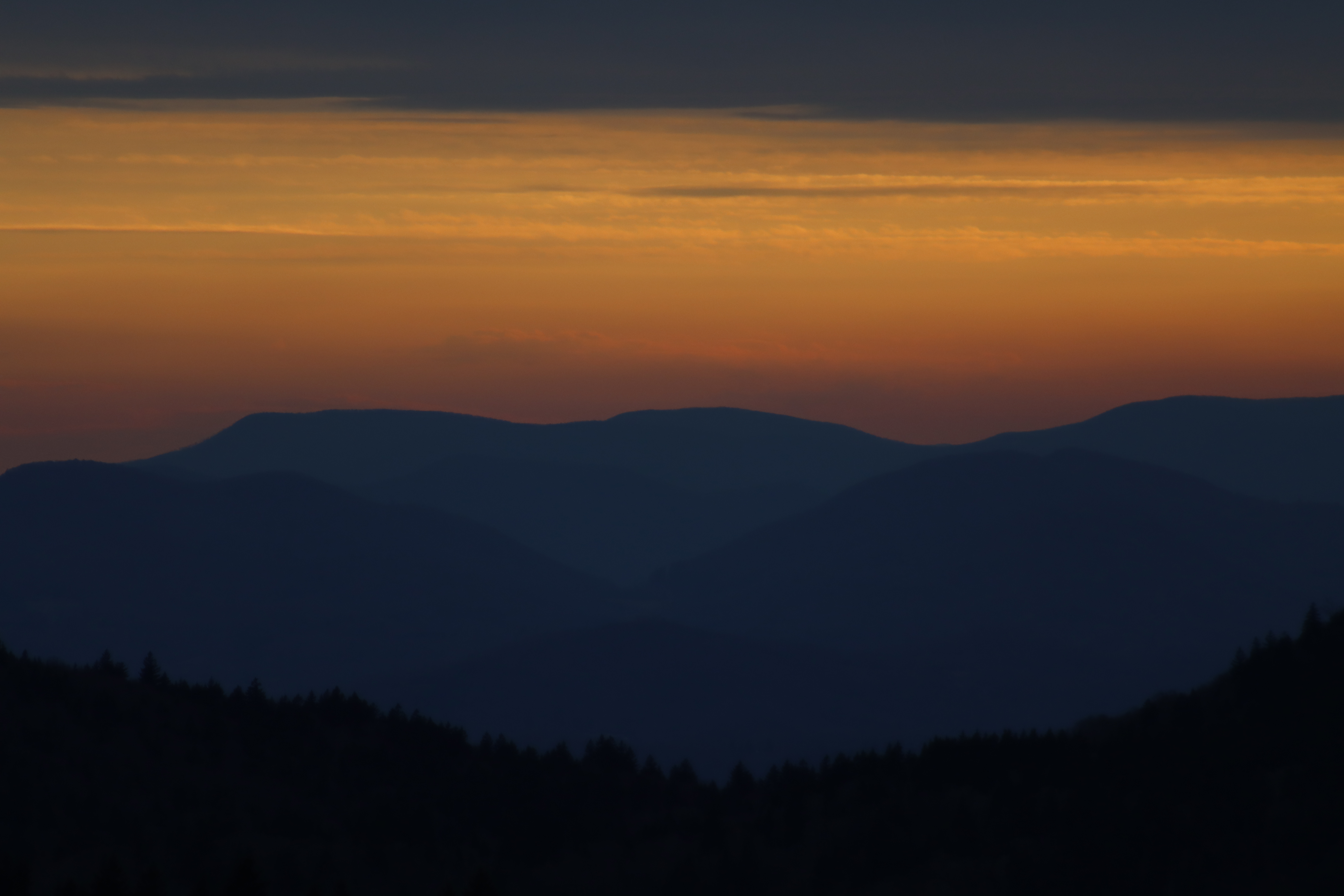 Things to do in Ashe County and New River Area North Carolina