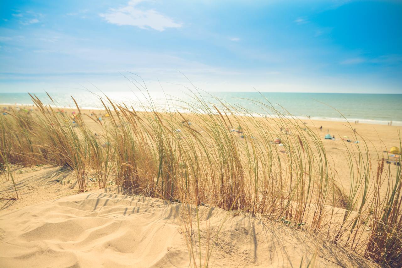 Top Beaches To Visit in Delaware