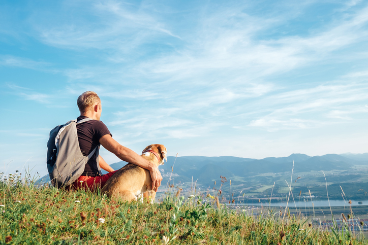 Tips for Hiking with your Dog