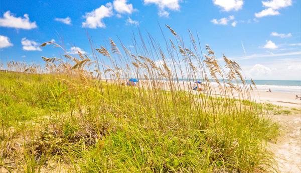 Destinations for a New Year’s Getaway