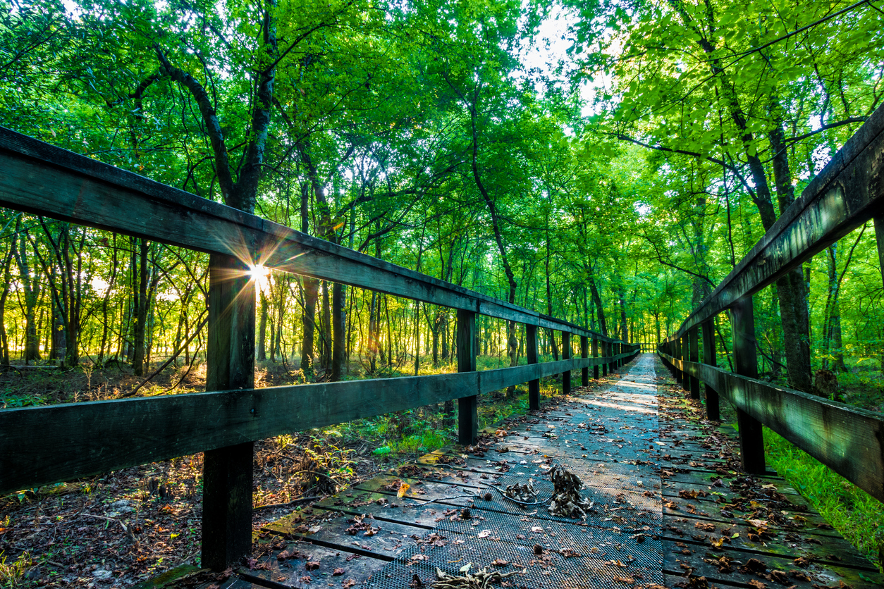 Hiking Guide for Beginners