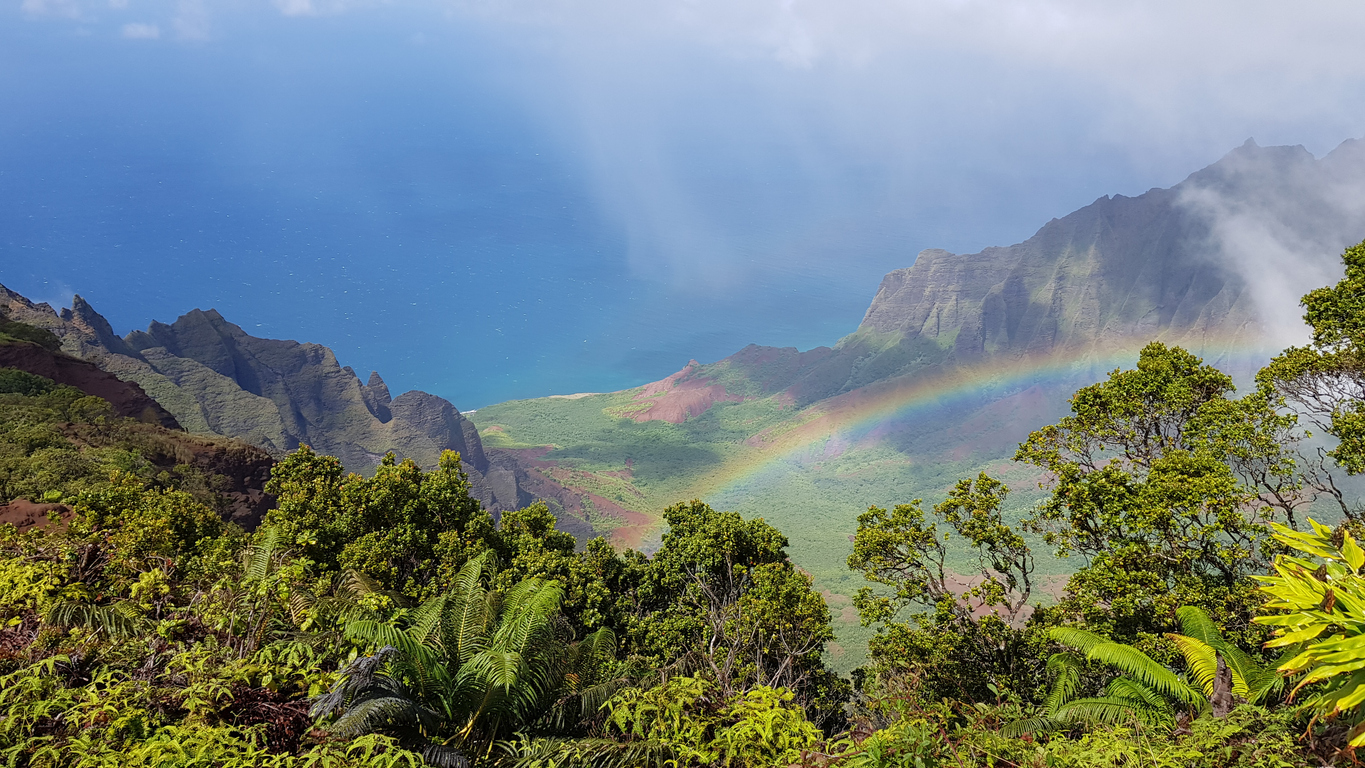 Things to do in Hawaii