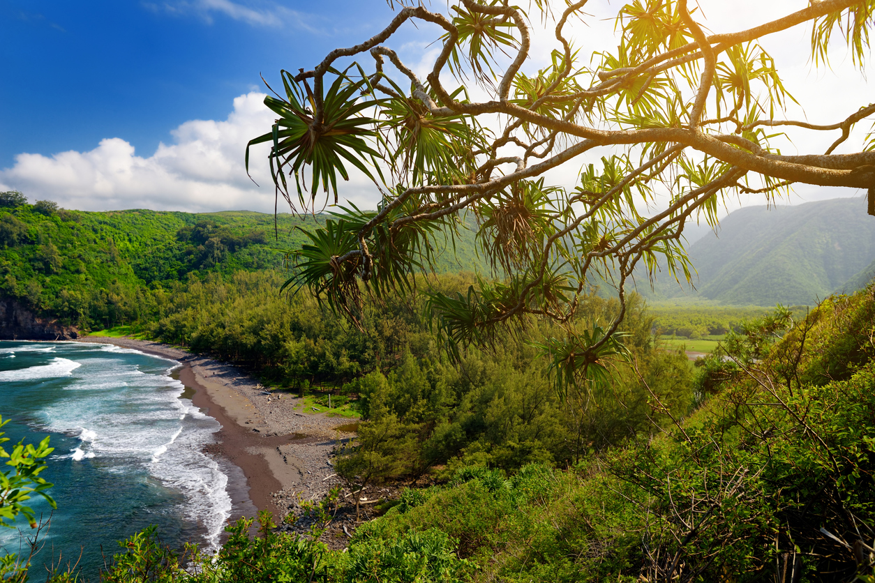 Things to do in Kohala Coast Hawaii