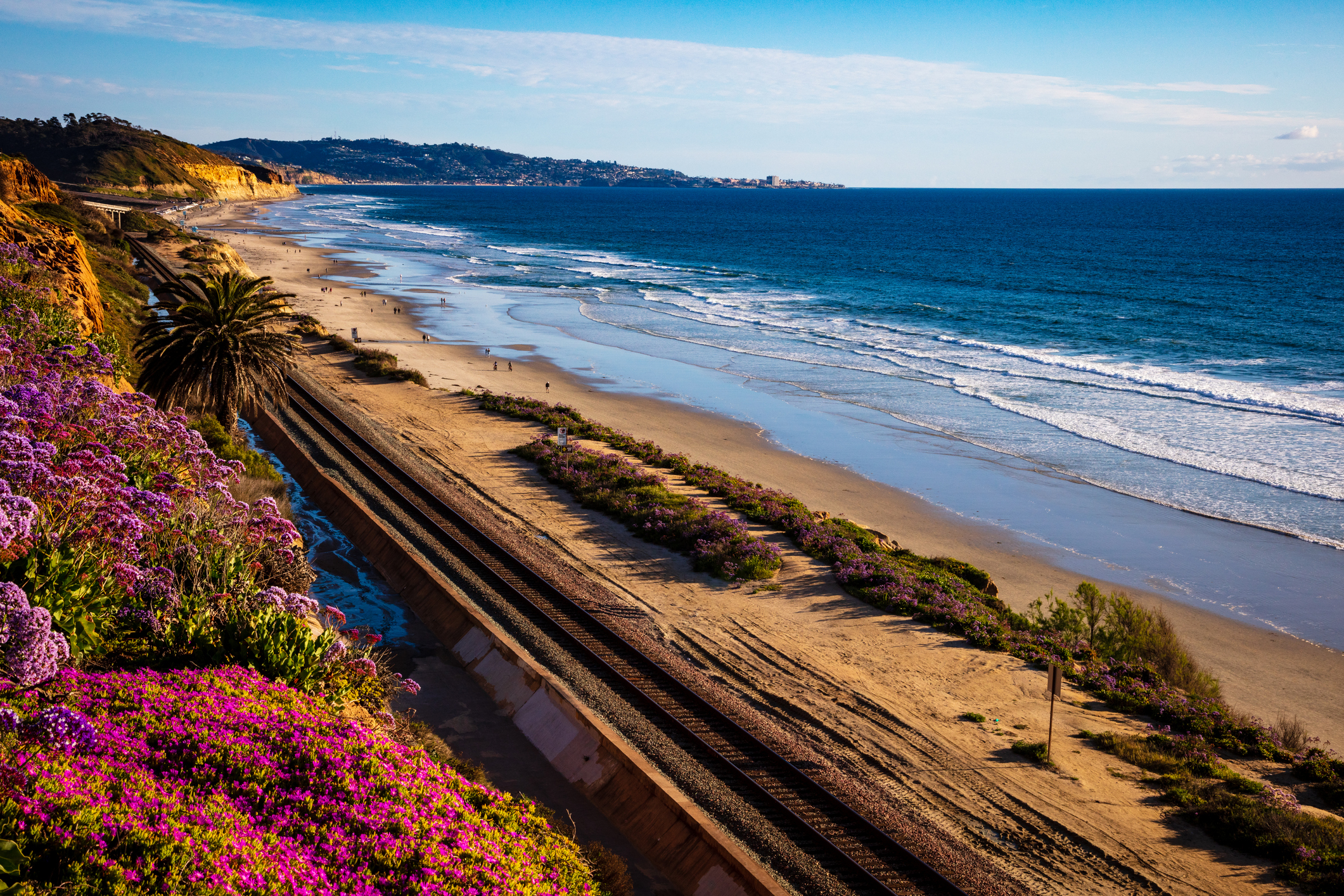 Things to do in Del Mar California