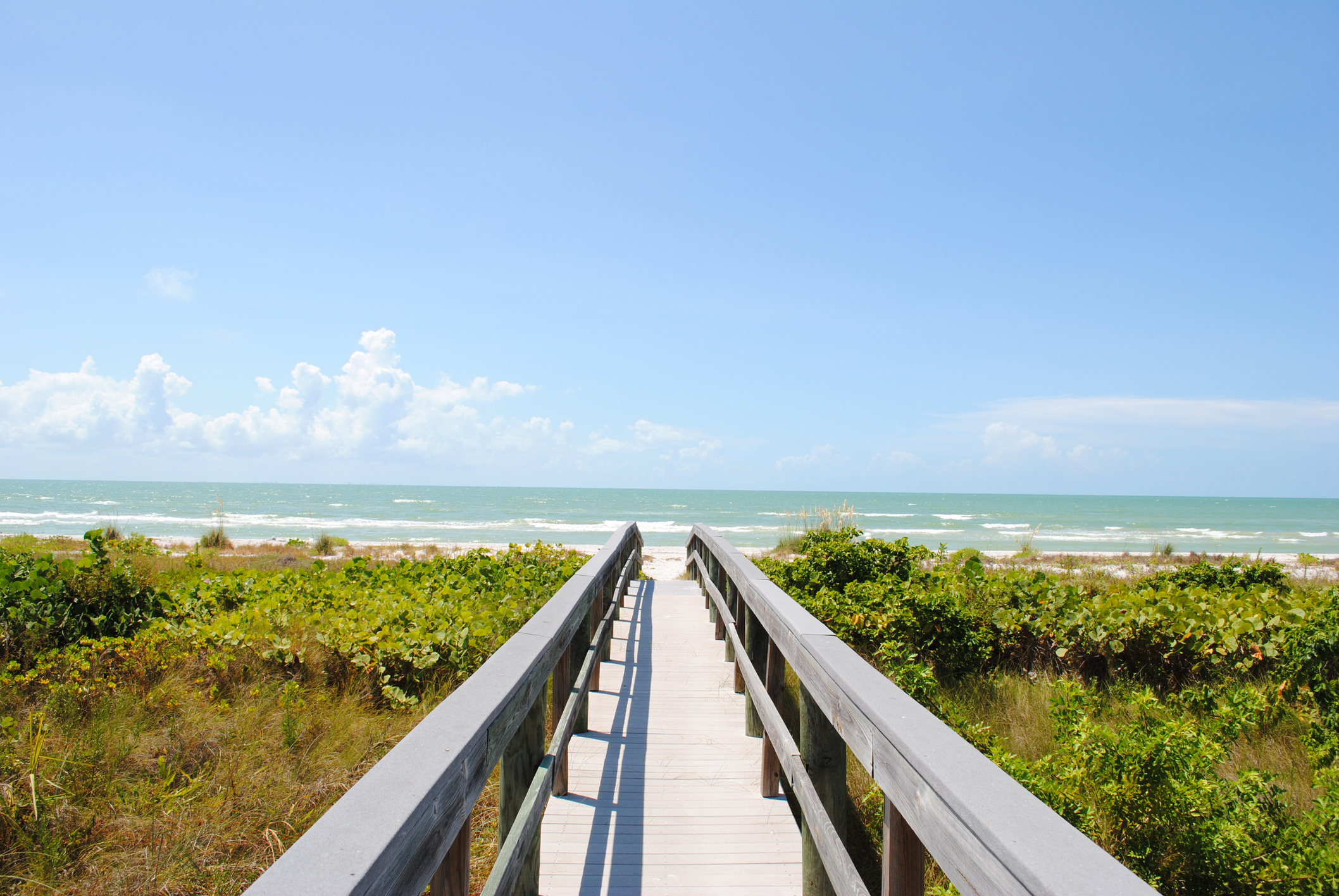 Things to do in Sanibel Island Florida