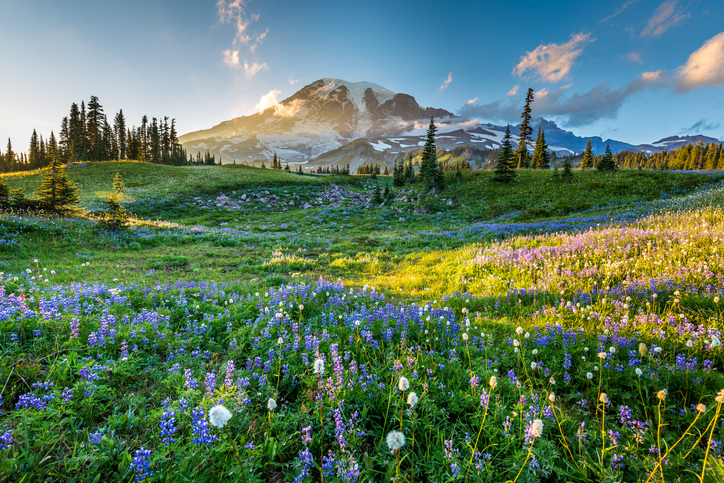 Things to do in Cascade Mountains Washington