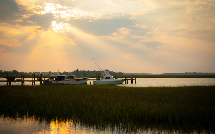 Things to do in Sea Islands South Carolina