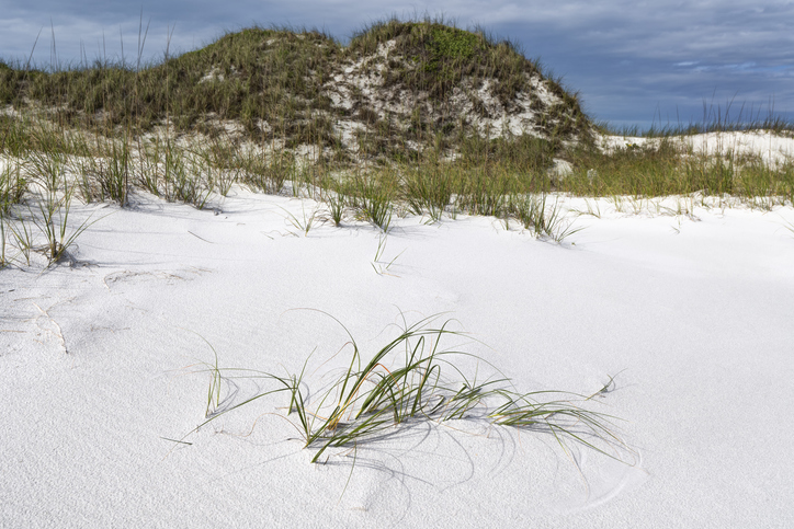 Things to do in Okaloosa Island Florida