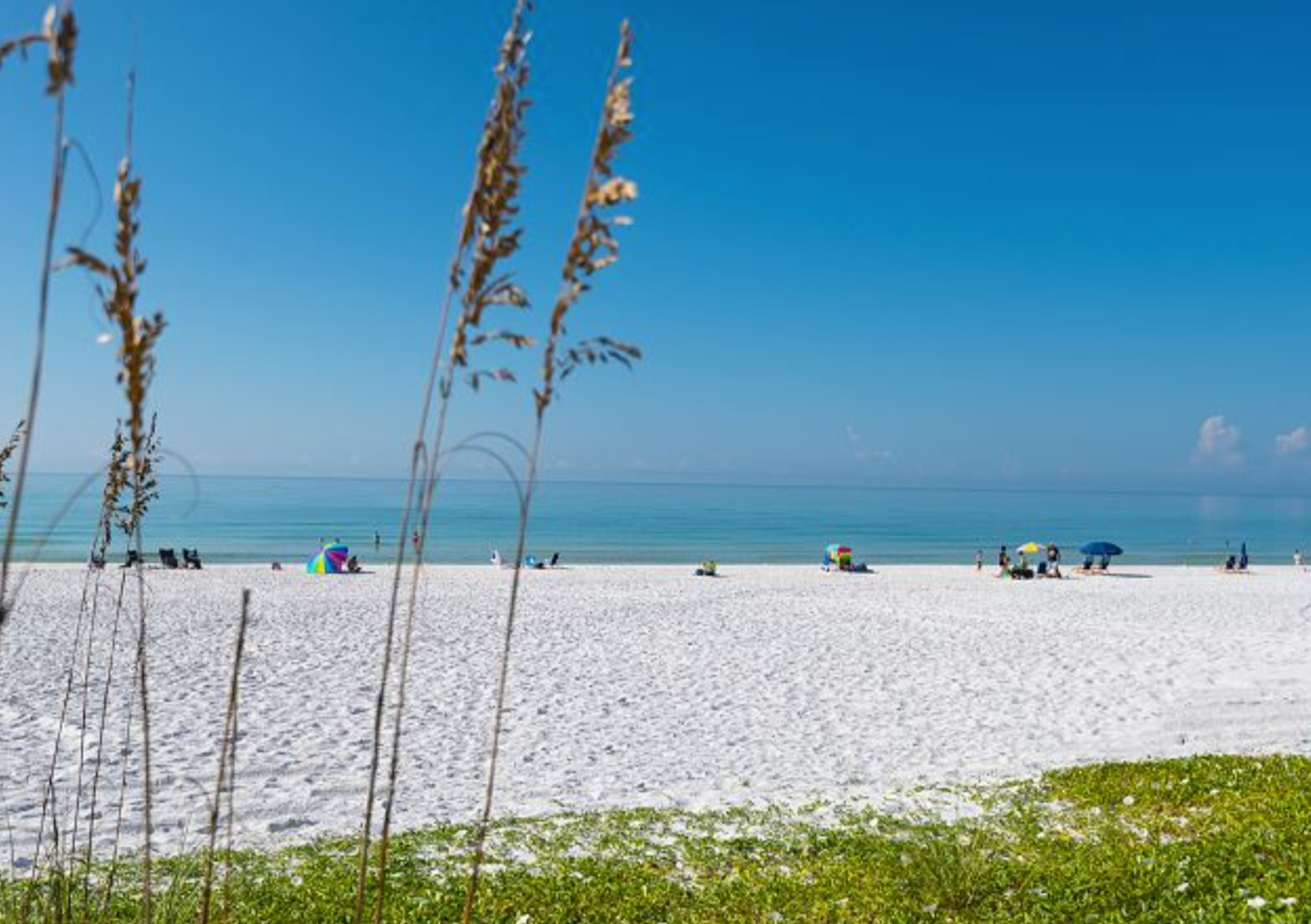 Things to do in Dune Allen Beach Florida