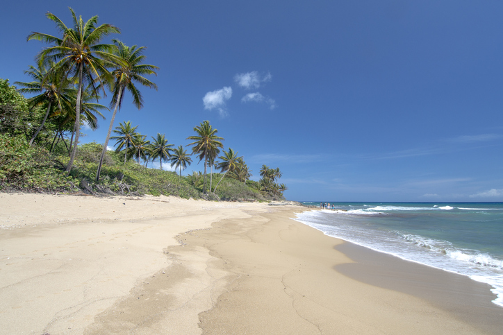 Things to do in North Coast Dominican Republic