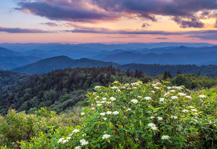 Visit the Blue Ridge Mountains