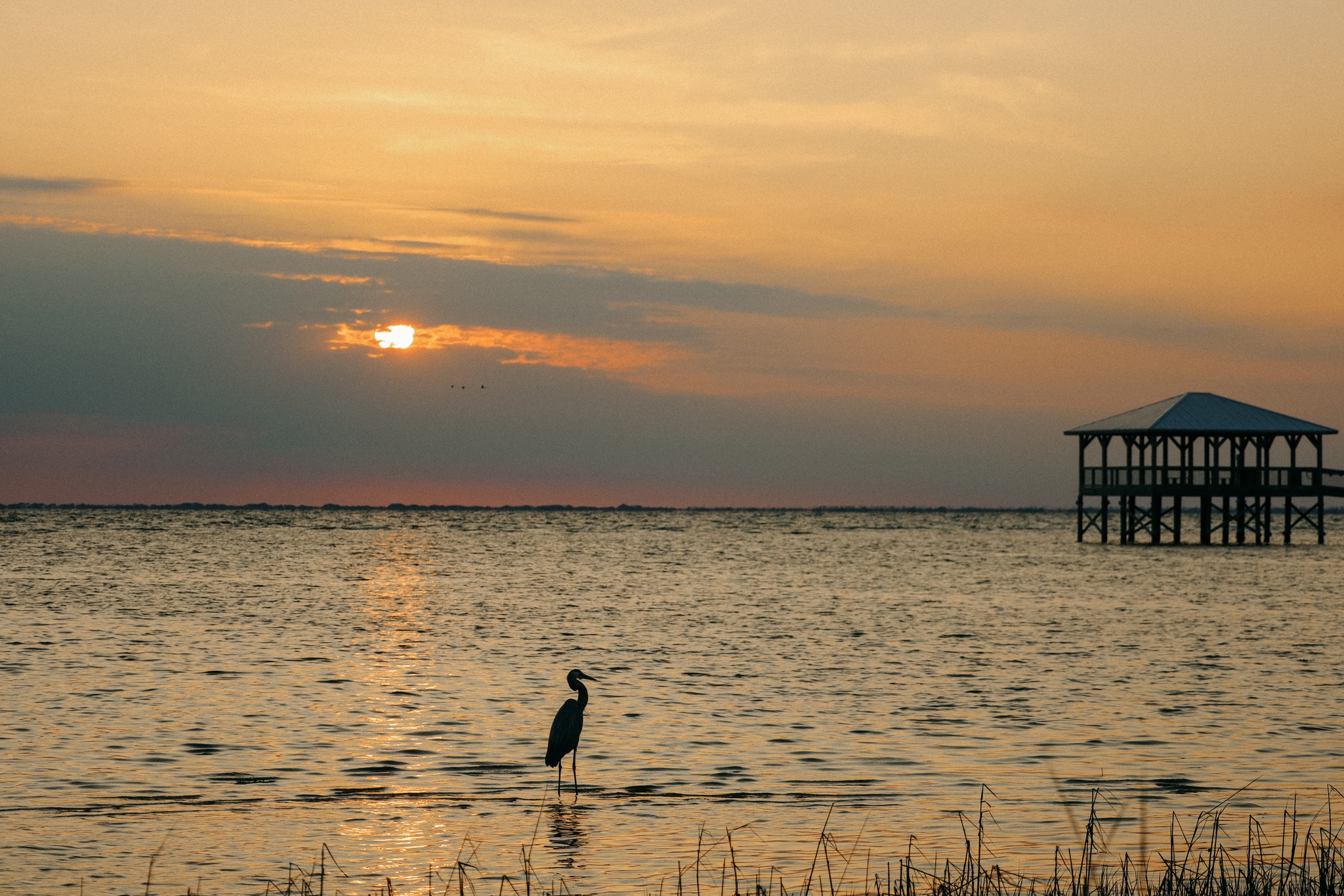 St. Joseph Bay Florida | Things to Do, Places to Eat & Stay