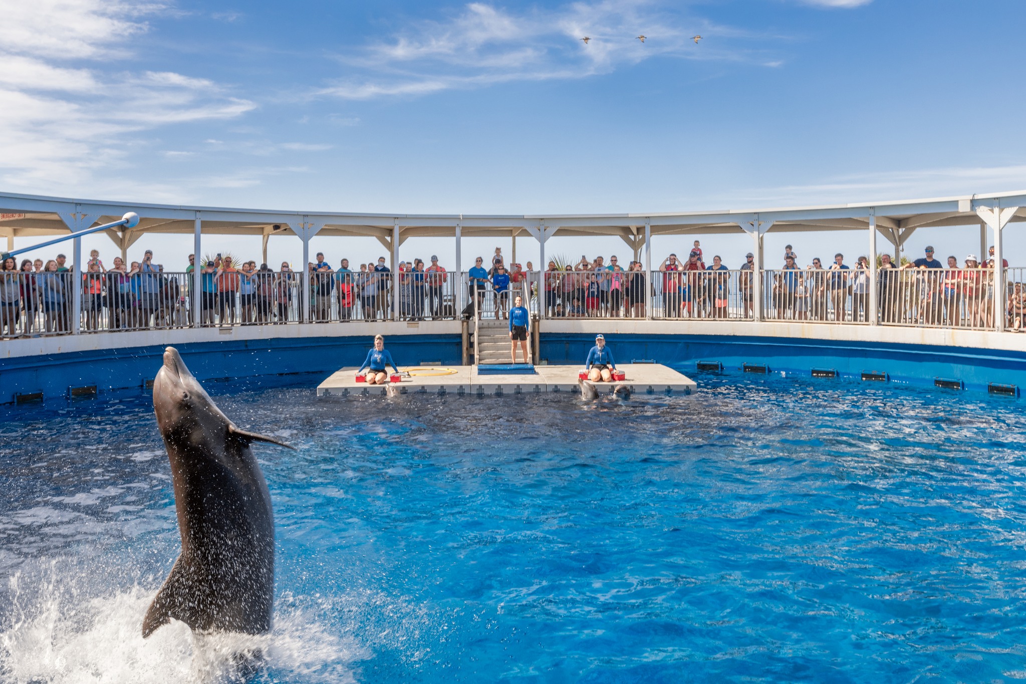 Gulfarium Marine Adventure Park