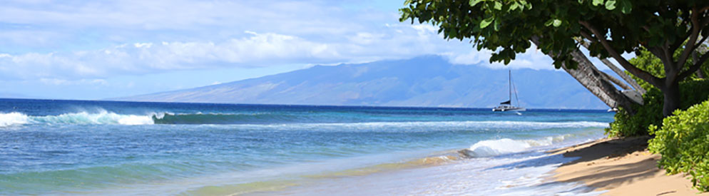 Things to do in Lahaina Hawaii