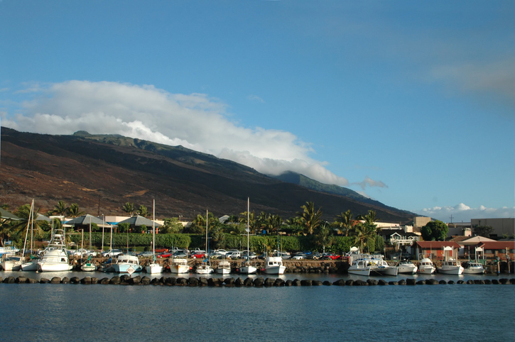 Things to do in Maalaea Bay Hawaii